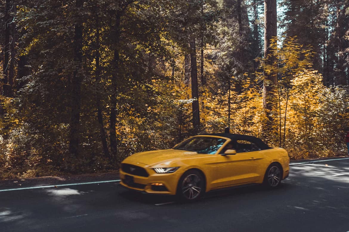 EV Workshop background
